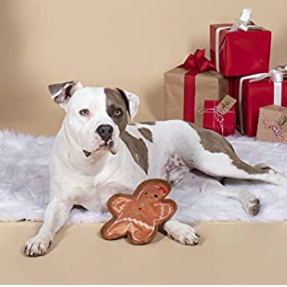 🎉 HP 🎉 🆕 Fringe Studio Bite Me Gingerbread Man Dog Toy
